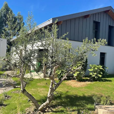 Villa Prestige Piscine Climatisation Standing Lyon Ouest