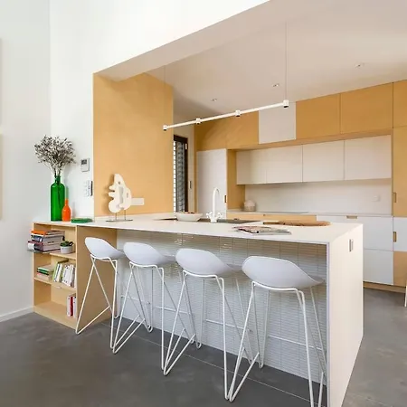 Villa Prestige Piscine Climatisation Standing Lyon Ouest
