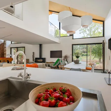 Prestige Piscine Climatisation Standing Lyon Ouest Villa