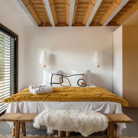Villa Prestige Piscine Climatisation Standing Lyon Ouest