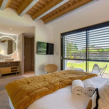 Maison Lyon Piscine Climatisation De 250 M2 Villa