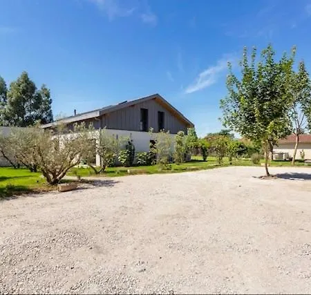 Villa Maison Lyon Piscine Climatisation De 250 M2 Écully