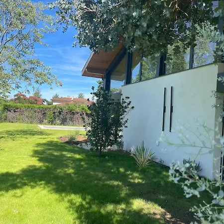 Maison Lyon Piscine Climatisation De 250 M2 Ecully
